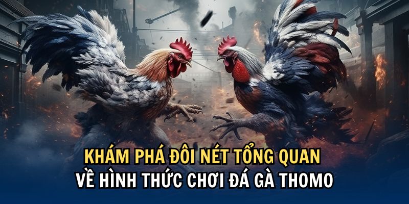 Giao diện trực tuyến hiện đại của trang chủ 88FC khi xem đá gà Thomo
